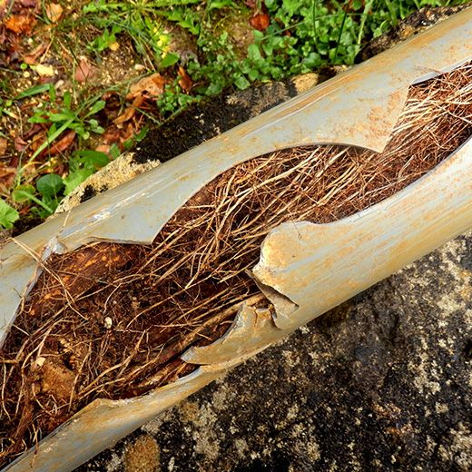 Same Day Drain Sewer & Rooter Pros Across Manchester